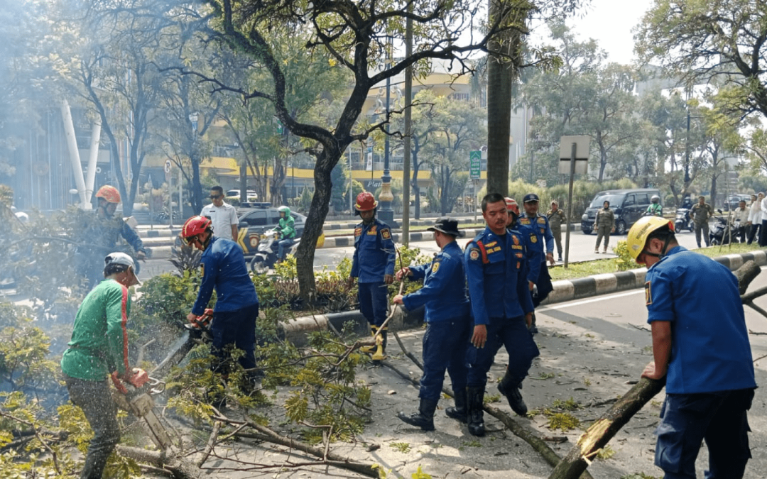 Giat Bersih Pemangkasan Pohon di Sekitar Jalan Tegar Beriman